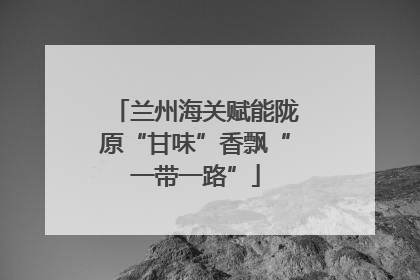 兰州海关赋能陇原“甘味”香飘“一带一路”