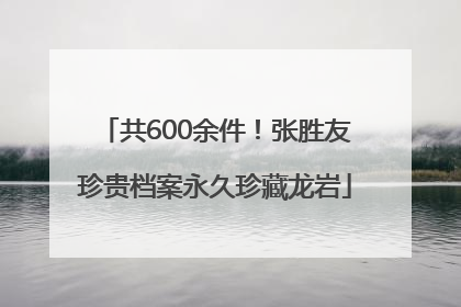 共600余件！张胜友珍贵档案永久珍藏龙岩