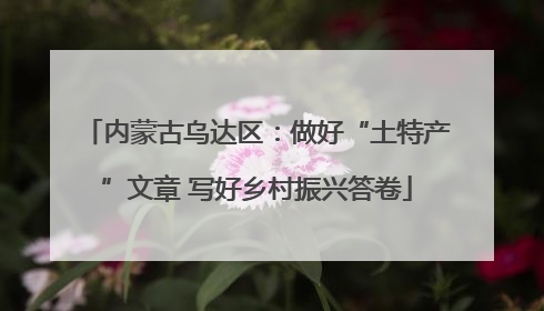 内蒙古乌达区：做好“土特产”文章 写好乡村振兴答卷