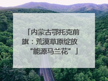 内蒙古鄂托克前旗：荒漠草原绽放“能源马兰花”