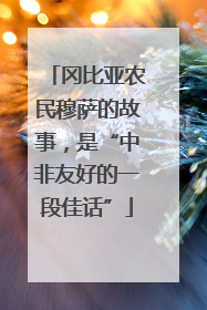 冈比亚农民穆萨的故事，是“中非友好的一段佳话”