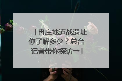 冉庄地道战遗址你了解多少？总台记者带你探访→