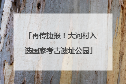 再传捷报！大河村入选国家考古遗址公园