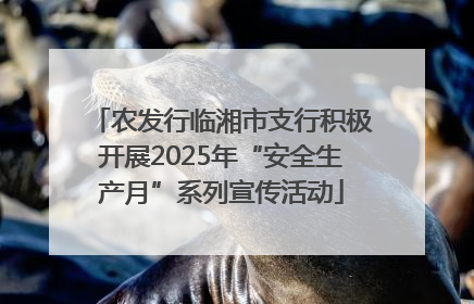农发行临湘市支行积极开展2025年“安全生产月”系列宣传活动