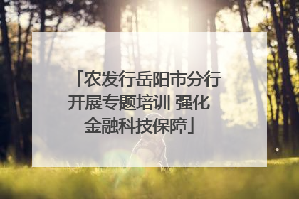 农发行岳阳市分行开展专题培训 强化金融科技保障