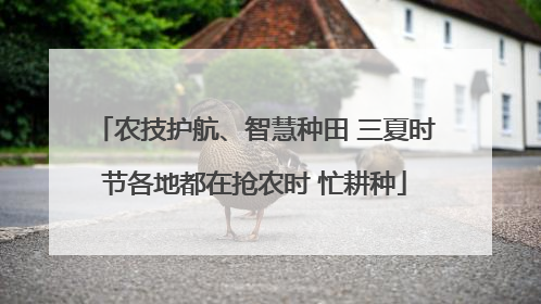 农技护航、智慧种田 三夏时节各地都在抢农时 忙耕种