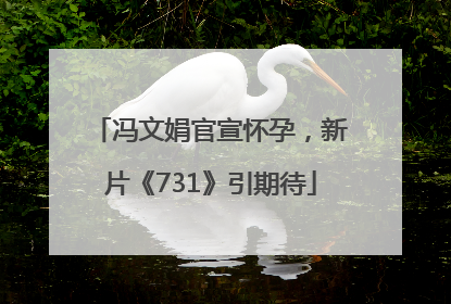 冯文娟官宣怀孕，新片《731》引期待