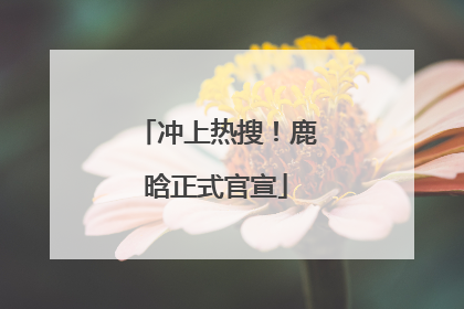 冲上热搜！鹿晗正式官宣