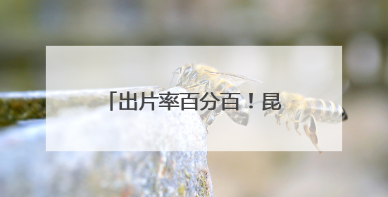 出片率百分百！昆明这片花海美炸啦，随手一拍就是大片