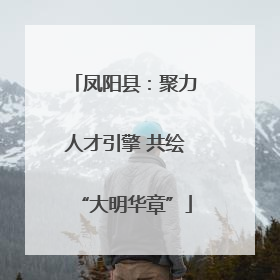 凤阳县：聚力人才引擎 共绘“大明华章”