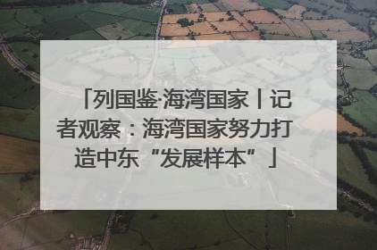 列国鉴·海湾国家丨记者观察：海湾国家努力打造中东“发展样本”
