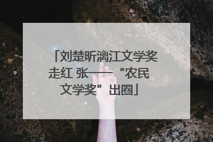 刘楚昕漓江文学奖走红 张一一“农民文学奖”出圈