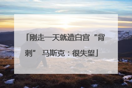 刚走一天就遭白宫“背刺” 马斯克：很失望