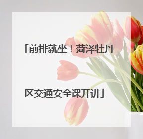 前排就坐！菏泽牡丹区交通安全课开讲