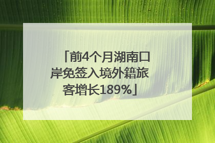 前4个月湖南口岸免签入境外籍旅客增长189%