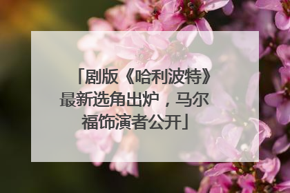 剧版《哈利波特》最新选角出炉，马尔福饰演者公开