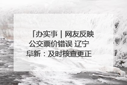 办实事｜网友反映公交票价错误 辽宁阜新：及时核查更正 加强实时巡检