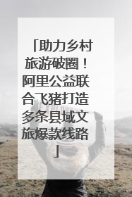 助力乡村旅游破圈！阿里公益联合飞猪打造多条县域文旅爆款线路
