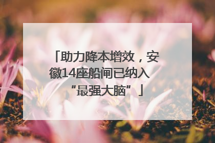 助力降本增效，安徽14座船闸已纳入“最强大脑”