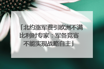 北约涨军费引欧洲不满 比利时专家：军备竞赛不能实现战略自主