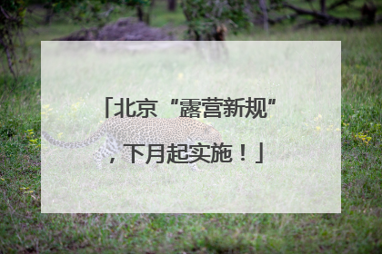 北京“露营新规”，下月起实施！