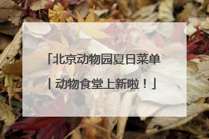 北京动物园夏日菜单丨动物食堂上新啦！