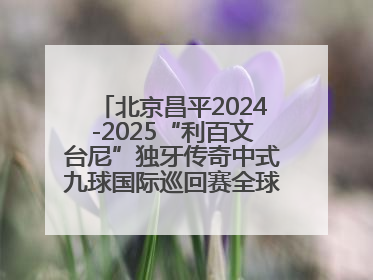 北京昌平2024-2025“利百文台尼”独牙传奇中式九球国际巡回赛全球总决赛举行