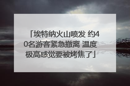 埃特纳火山喷发 约40名游客紧急撤离 温度极高感觉要被烤焦了