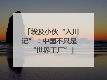 埃及小伙“入川记”：中国不只是“世界工厂”