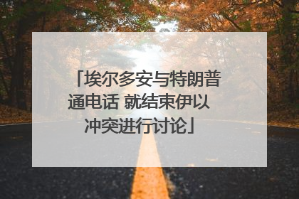 埃尔多安与特朗普通电话 就结束伊以冲突进行讨论