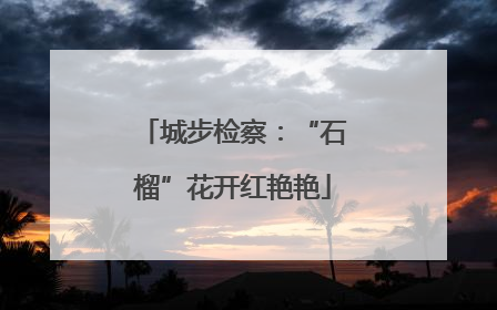 城步检察：“石榴”花开红艳艳