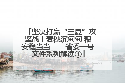 坚决打赢“三夏”攻坚战丨麦穗沉甸甸 粮安稳当当——省委一号文件系列解读①