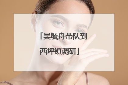 吴毓舟带队到西坪镇调研
