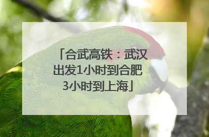 合武高铁：武汉出发1小时到合肥3小时到上海