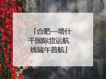 合肥—塔什干国际货运航线端午首航