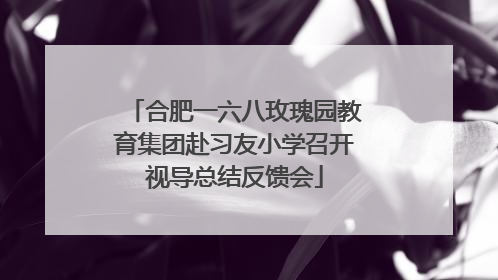 合肥一六八玫瑰园教育集团赴习友小学召开视导总结反馈会