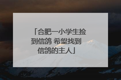 合肥一小学生捡到信鸽 希望找到信鸽的主人