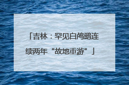 吉林：罕见白鸬鹚连续两年“故地重游”