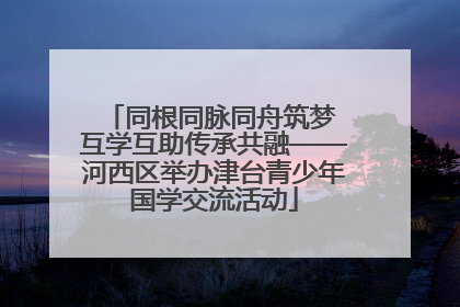同根同脉同舟筑梦 互学互助传承共融——河西区举办津台青少年国学交流活动
