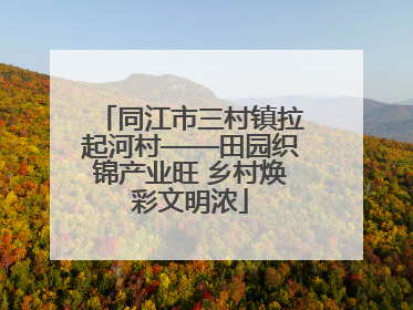 同江市三村镇拉起河村——田园织锦产业旺 乡村焕彩文明浓