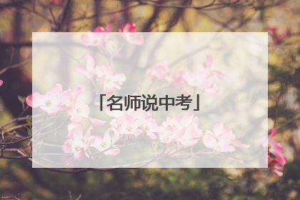 名师说中考