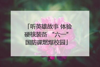 听英雄故事 体验硬核装备 “六一”国防课燃爆校园