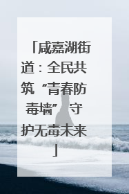咸嘉湖街道：全民共筑“青春防毒墙” 守护无毒未来