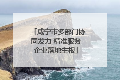 咸宁市多部门协同发力 精准服务企业落地生根