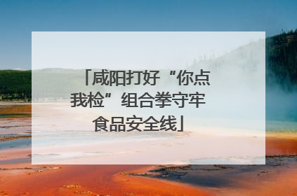 咸阳打好“你点我检”组合拳守牢食品安全线