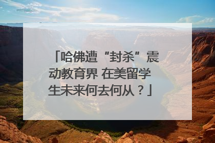 哈佛遭“封杀”震动教育界 在美留学生未来何去何从？