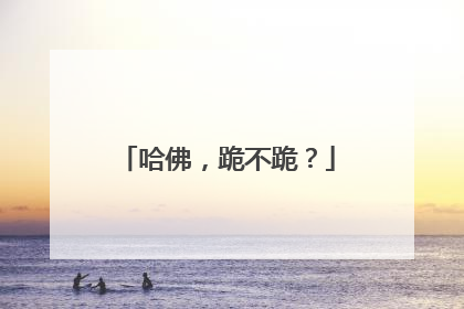 哈佛，跪不跪？