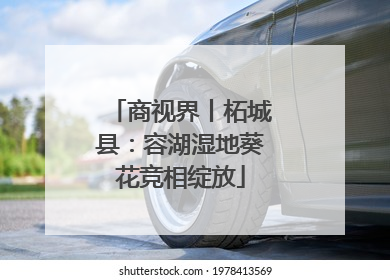 商视界丨柘城县：容湖湿地葵花竞相绽放
