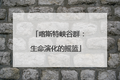 喀斯特峡谷群：生命演化的摇篮