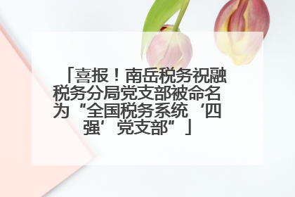 喜报！南岳税务祝融税务分局党支部被命名为“全国税务系统‘四强’党支部”